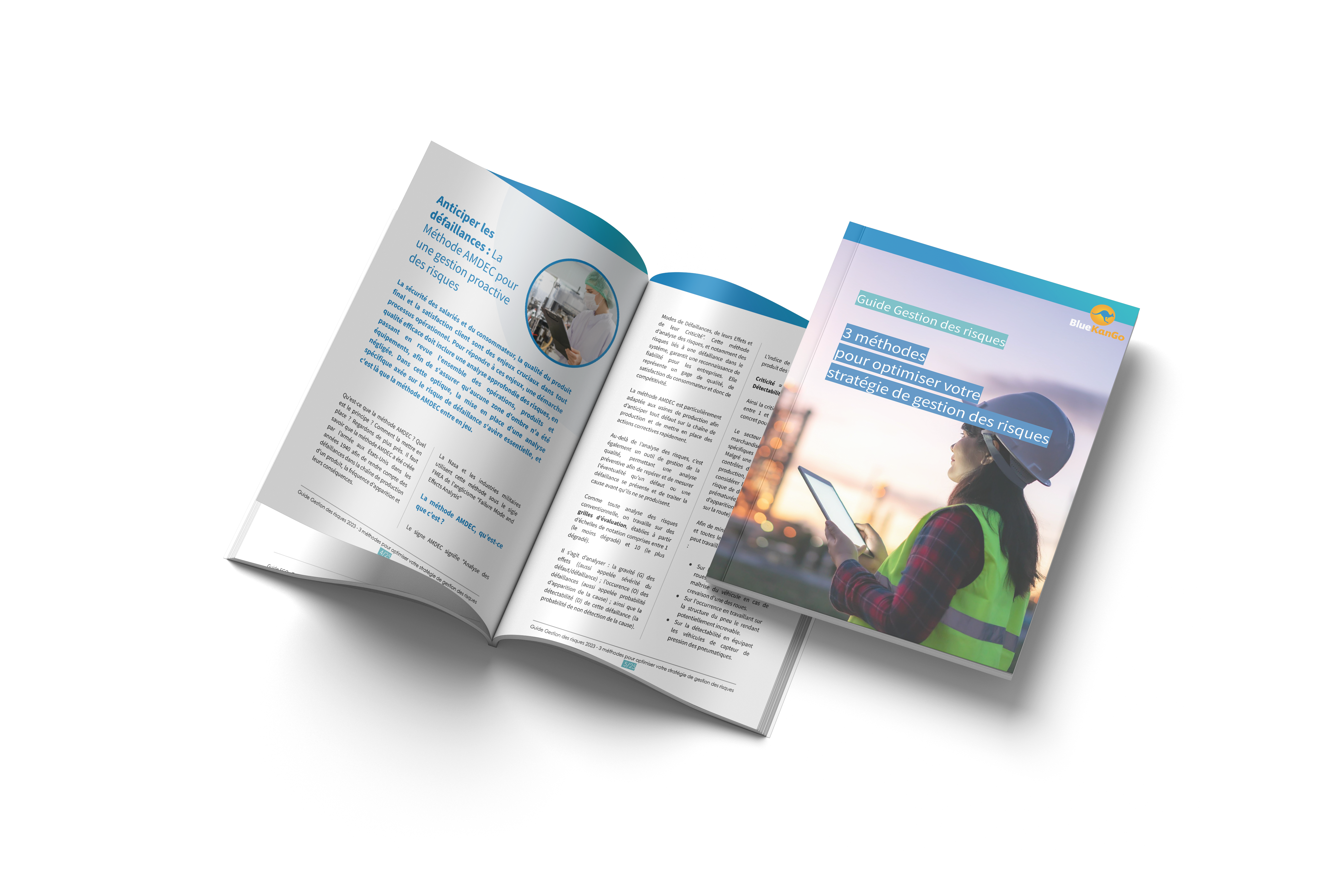 CA Guide Gestion des risques