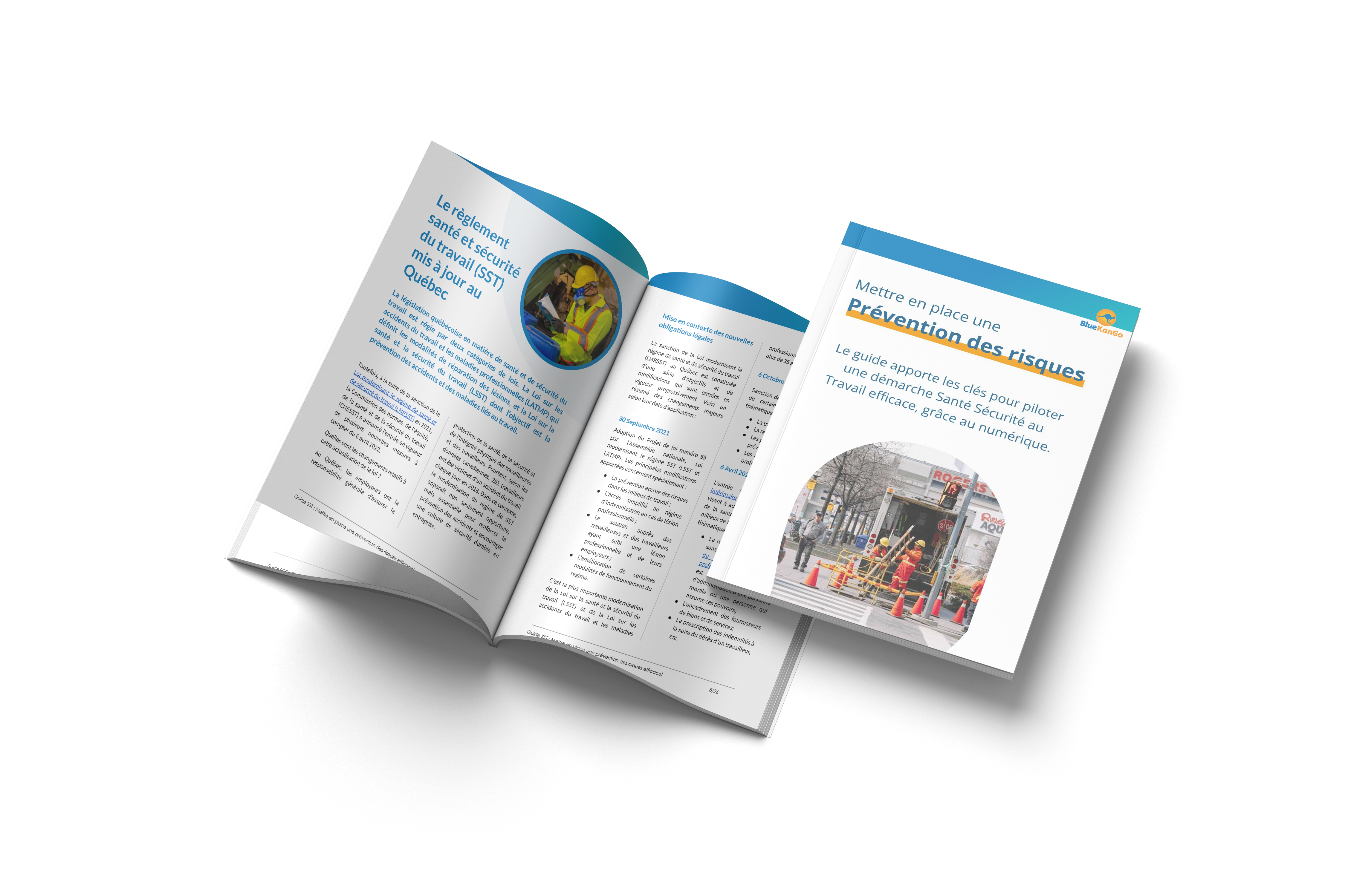 CA Guide SST