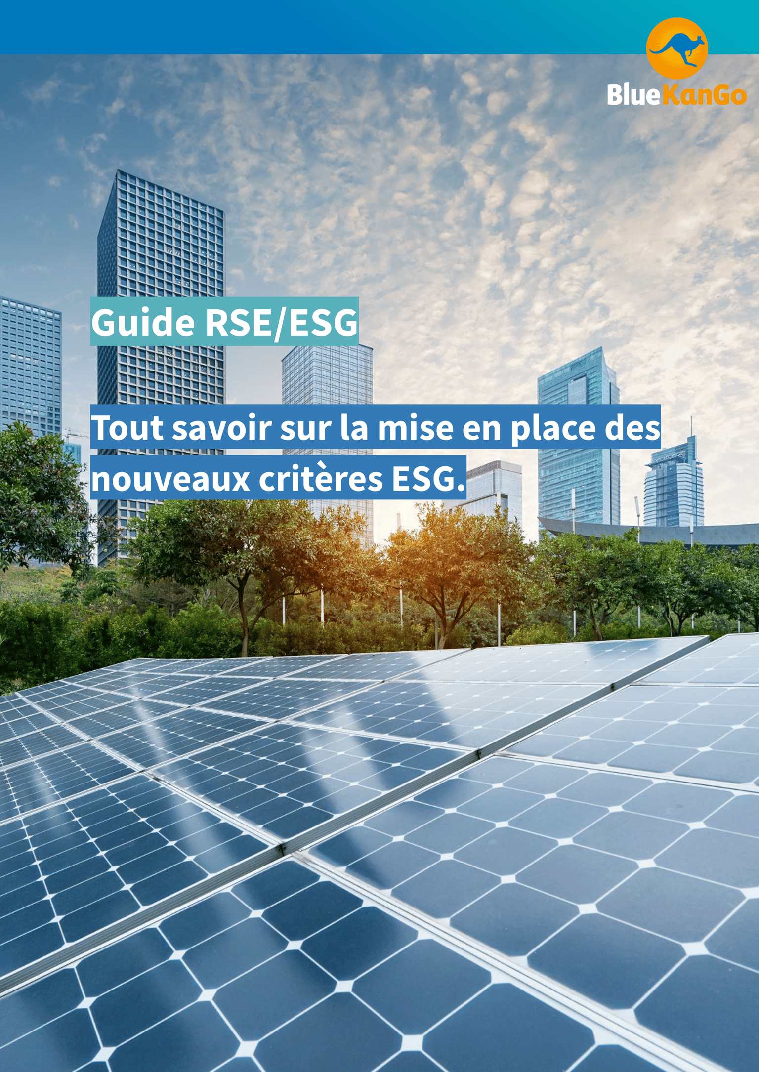 [Guide RSE/ESG] Tout savoir sur la mise en place des nouveaux critères ESG.