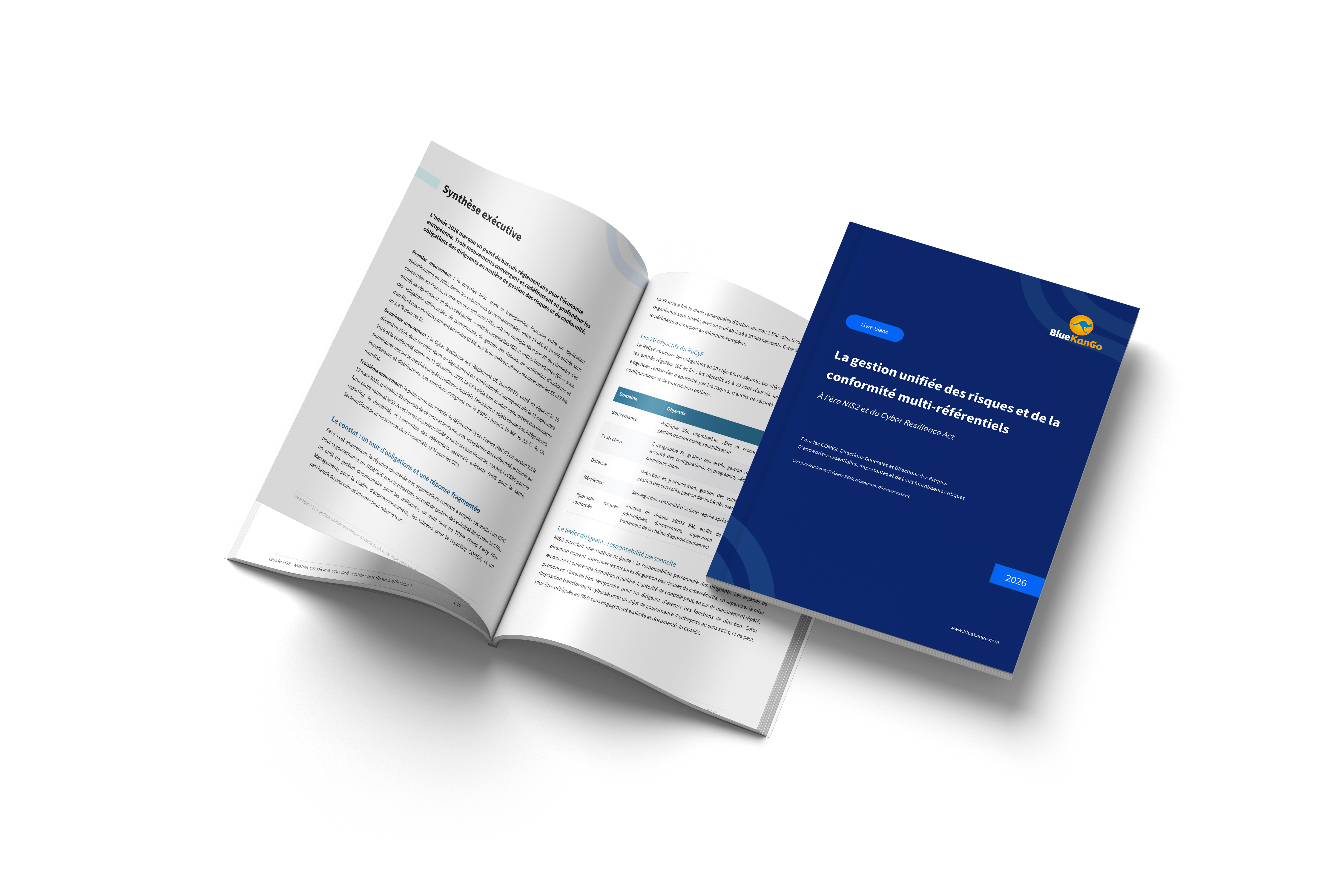 Livre Blanc IRM Visuel